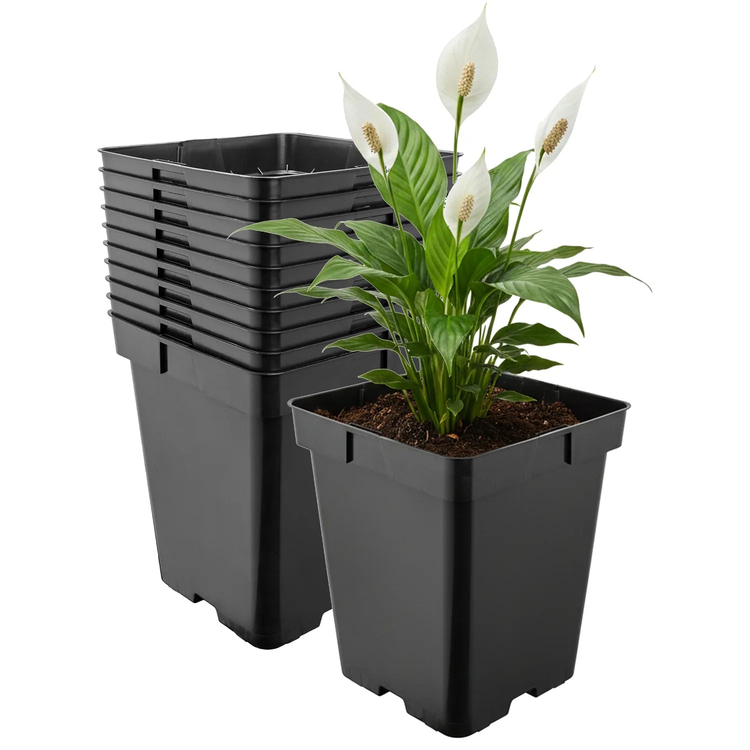 #Größe_19,5 x 19,5 x 19 cm (5L)#Menge_10 Stück