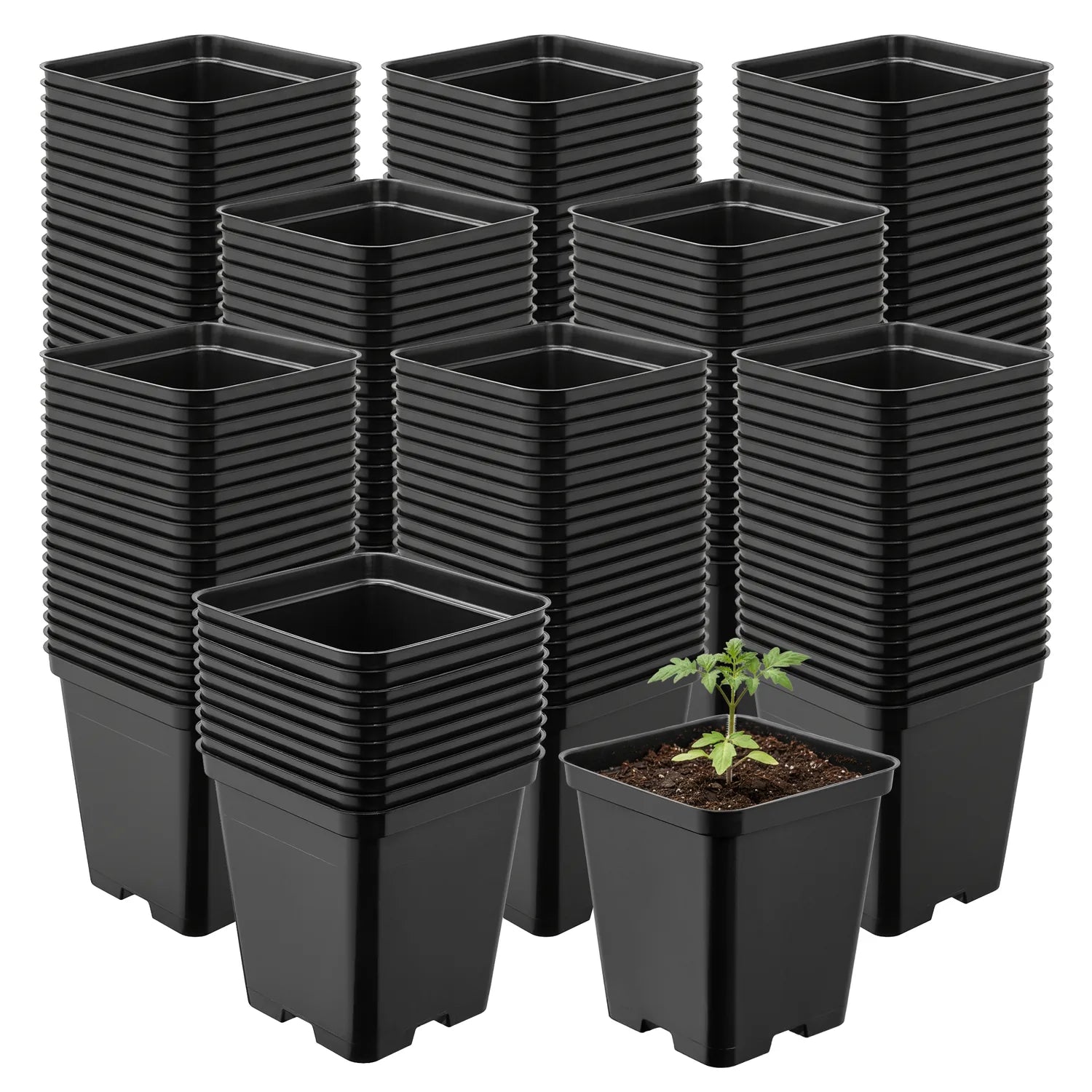 #Größe_9 x 9 x 9,6 cm (0,5L)#Menge_200 Stück