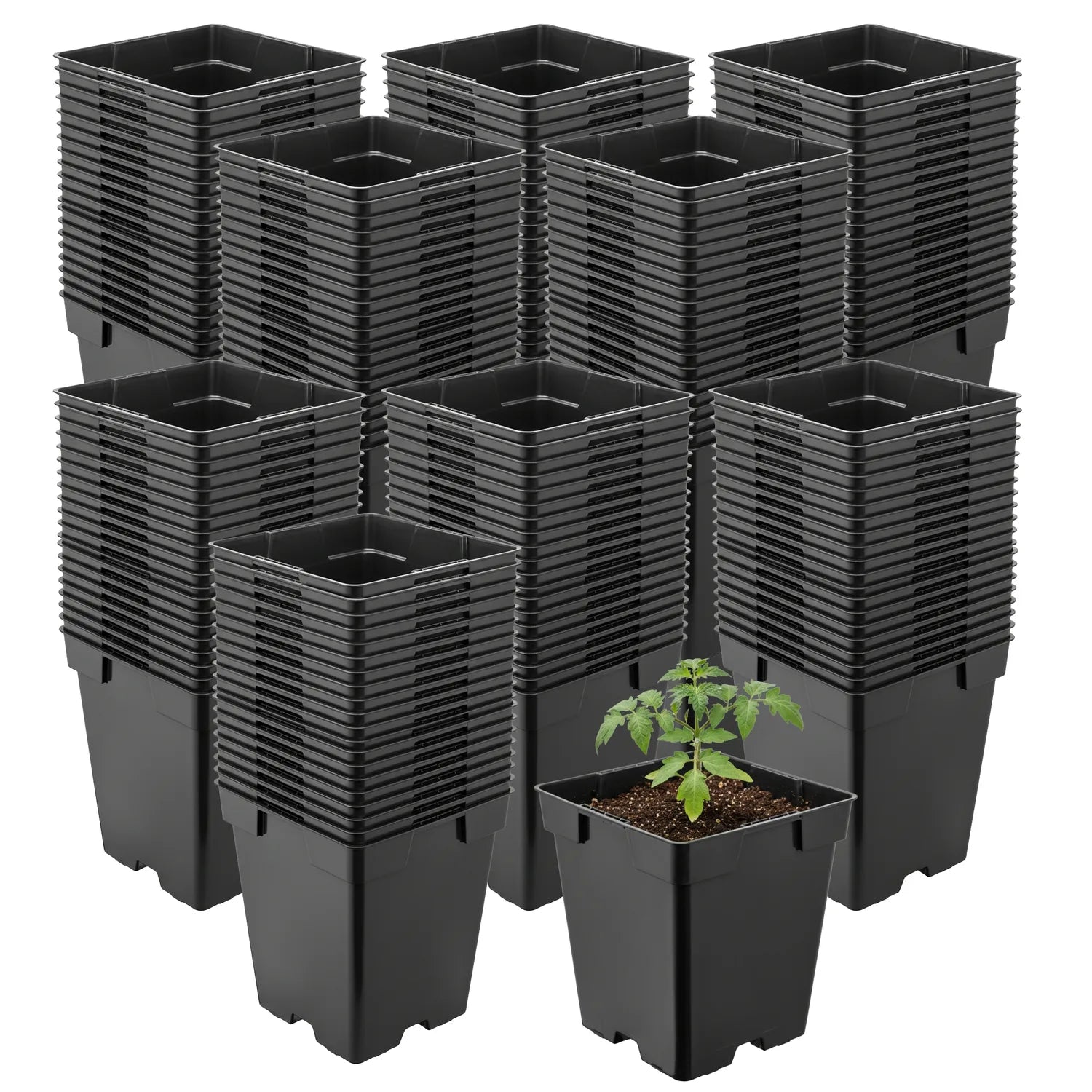 #Größe_11 x 11 x 12 cm (1L)#Menge_200 Stück