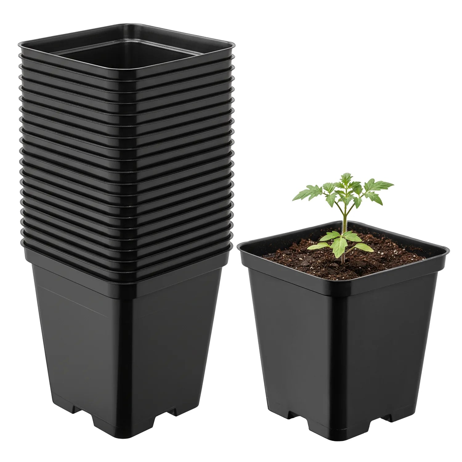 #Größe_9 x 9 x 9,6 cm (0,5L)#Menge_20 Stück