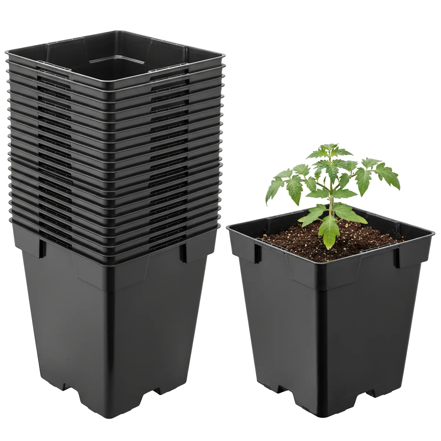 #Größe_11 x 11 x 12 cm (1L)#Menge_20 Stück