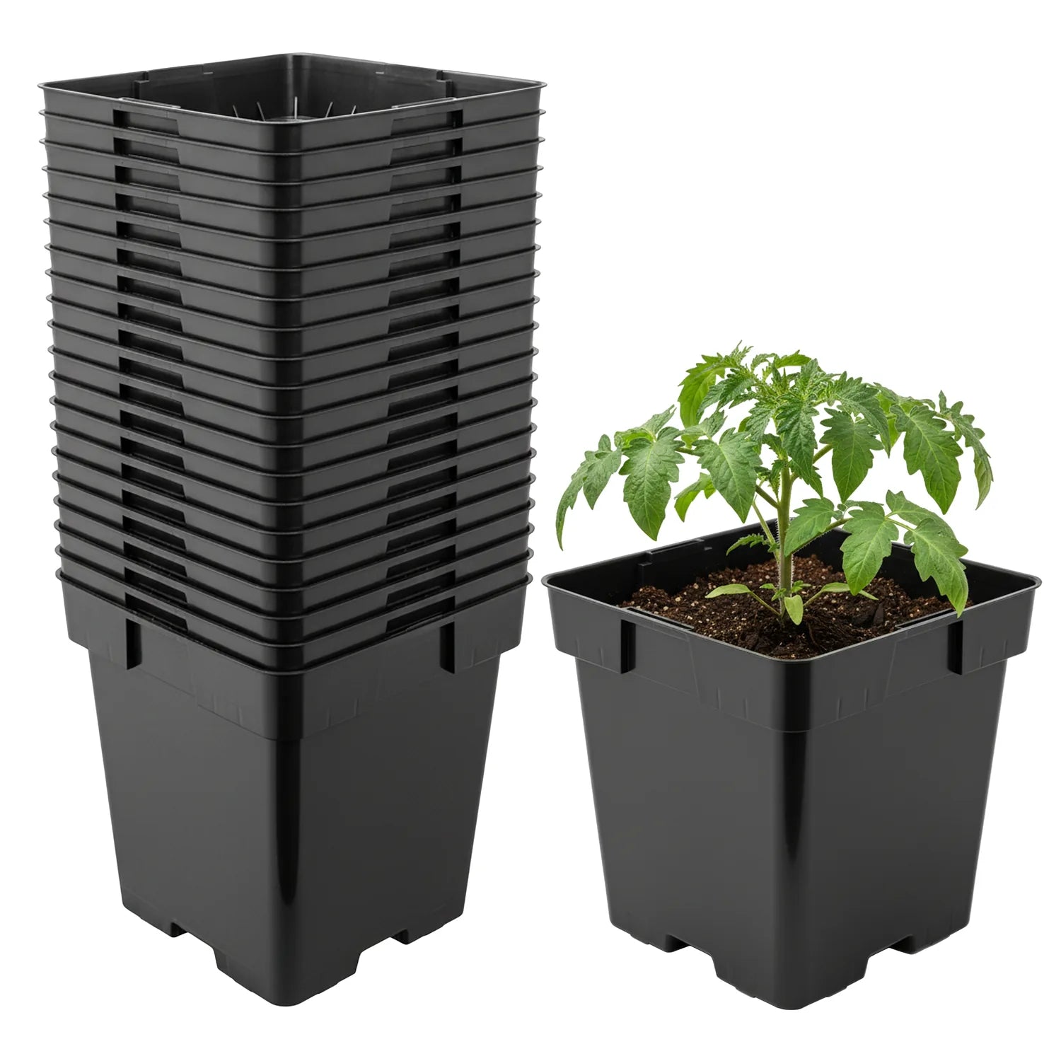 #Größe_16 x 16 x 16 cm (3L)#Menge_20 Stück