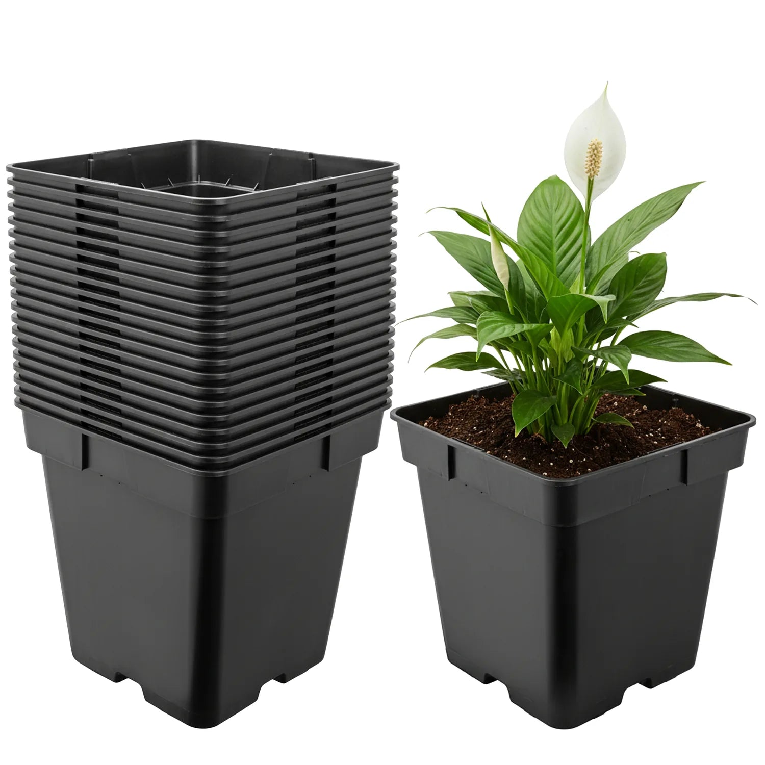 #Größe_18 x 18 x 18 cm (4L)#Menge_20 Stück