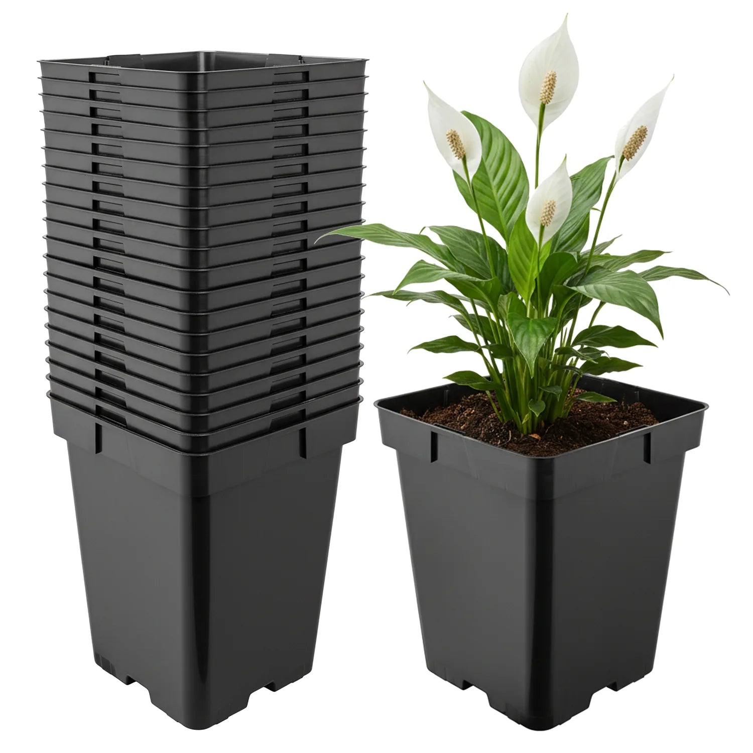 #Größe_19,5 x 19,5 x 19 cm (5L)#Menge_20 Stück