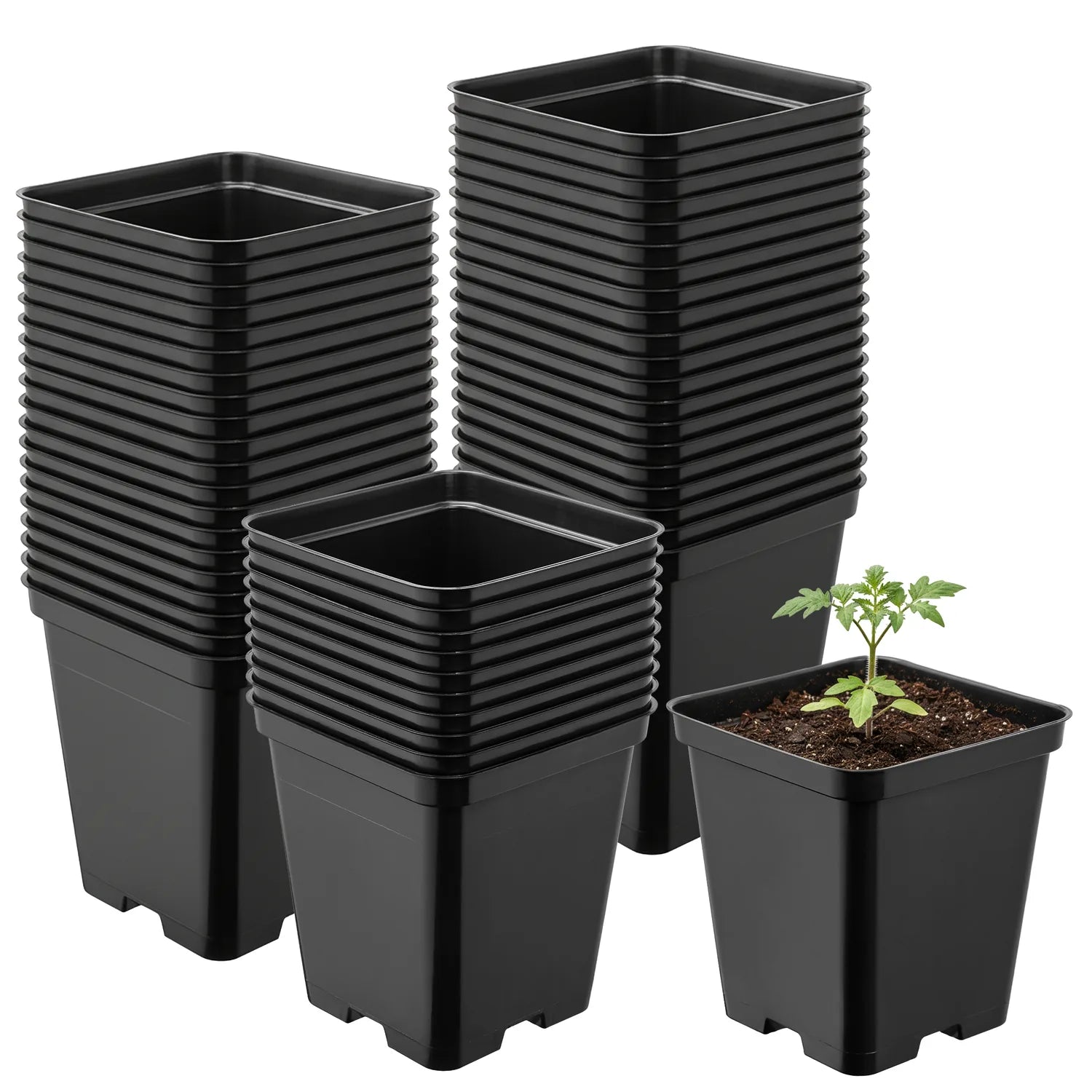 #Größe_9 x 9 x 9,6 cm (0,5L)#Menge_50 Stück