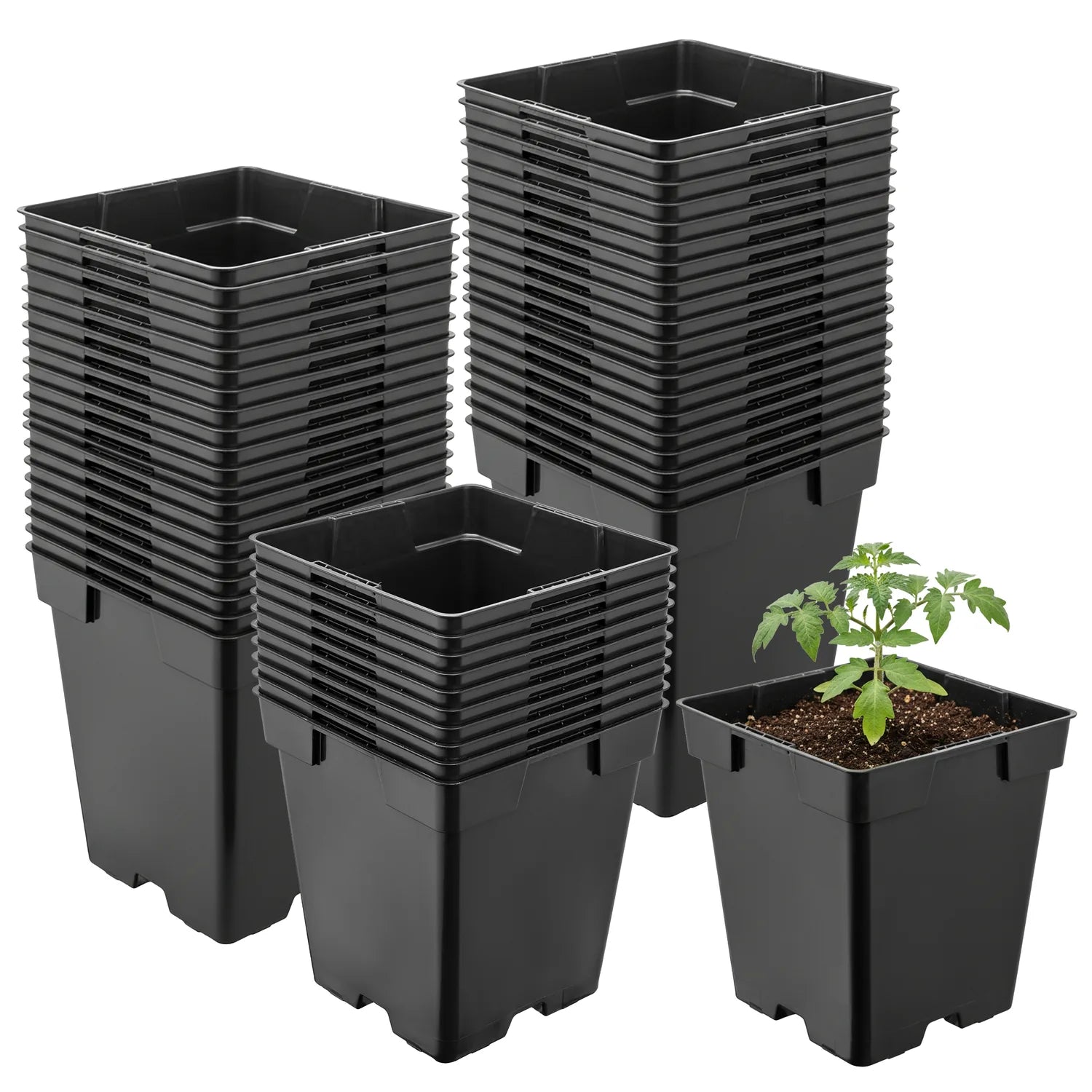 #Größe_11 x 11 x 12 cm (1L)#Menge_50 Stück