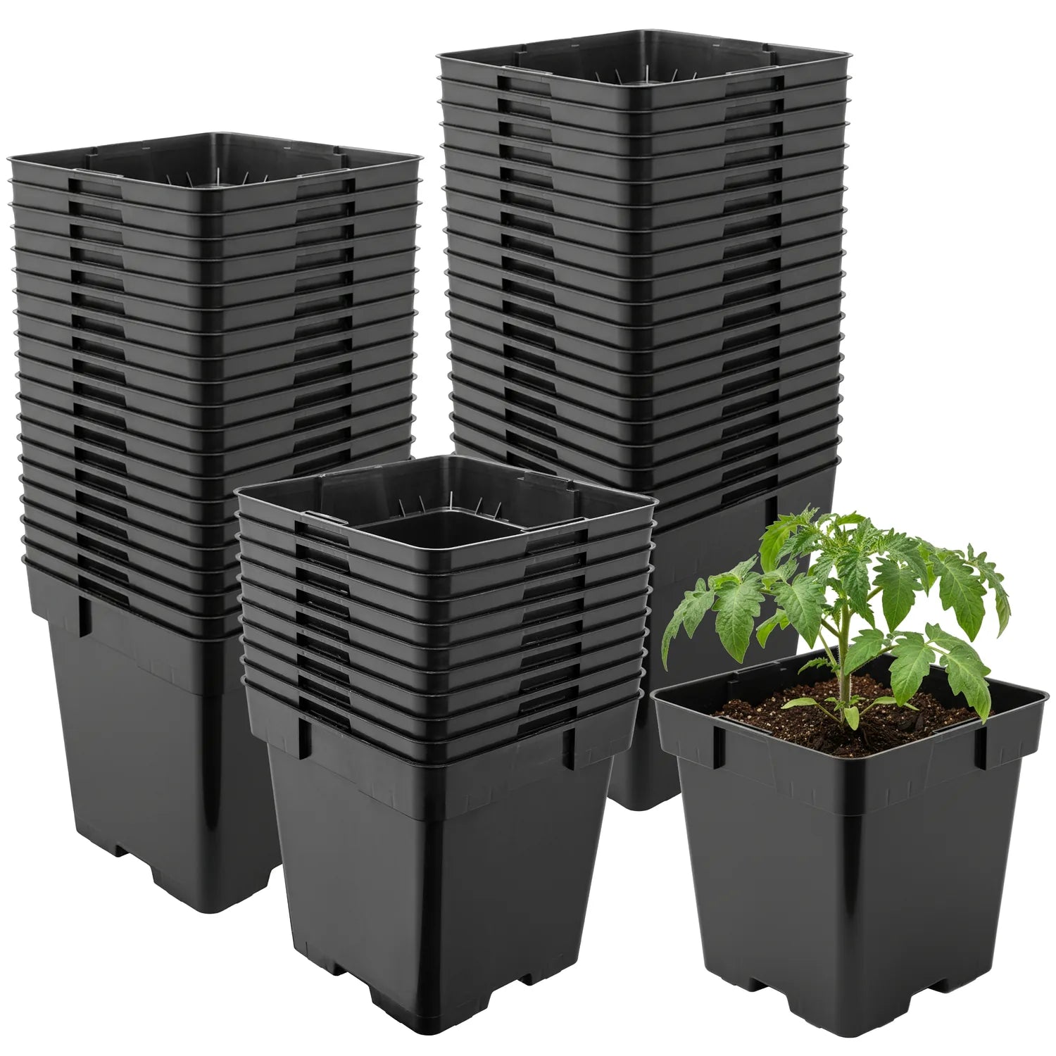 #Größe_16 x 16 x 16 cm (3L)#Menge_50 Stück