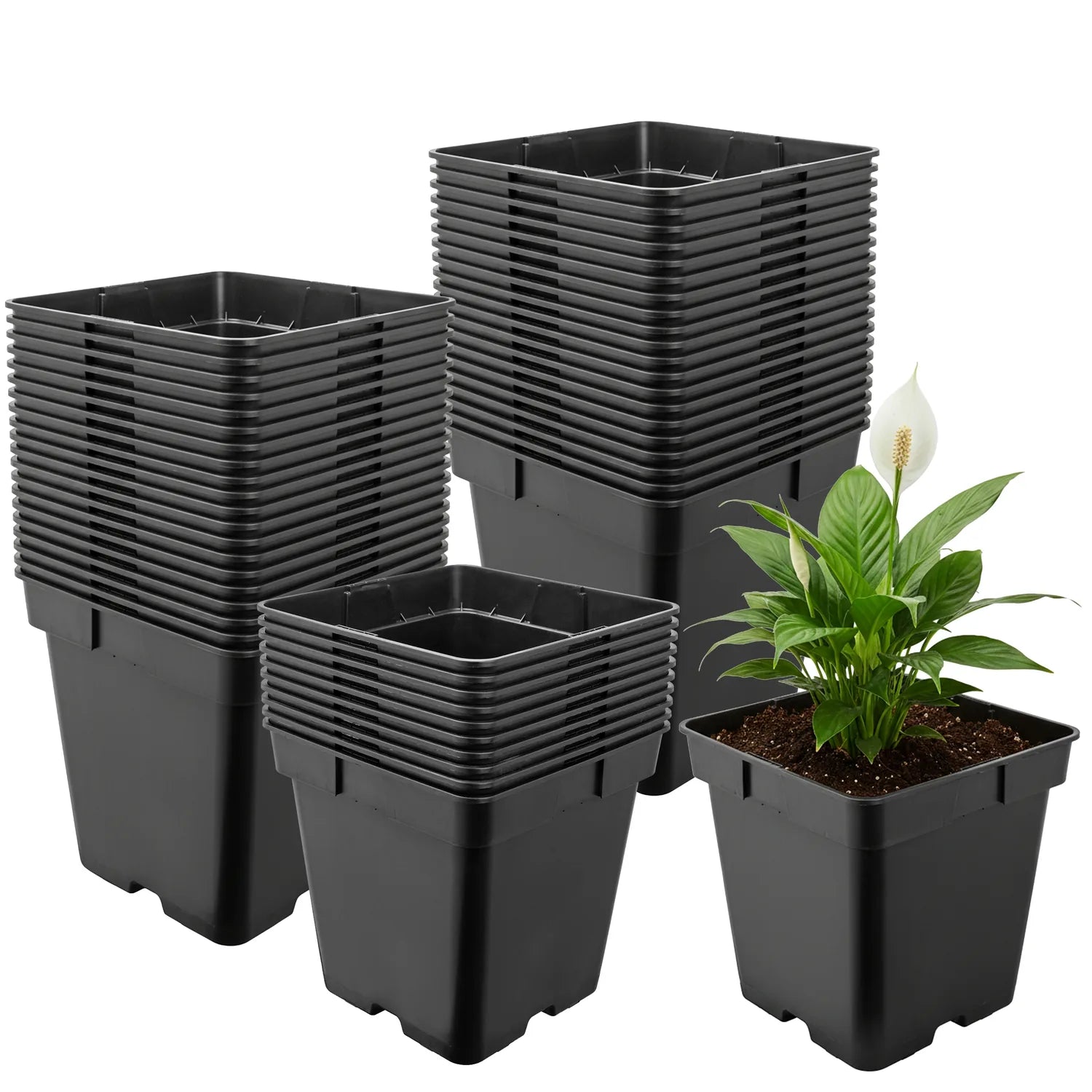 #Größe_18 x 18 x 18 cm (4L)#Menge_50 Stück