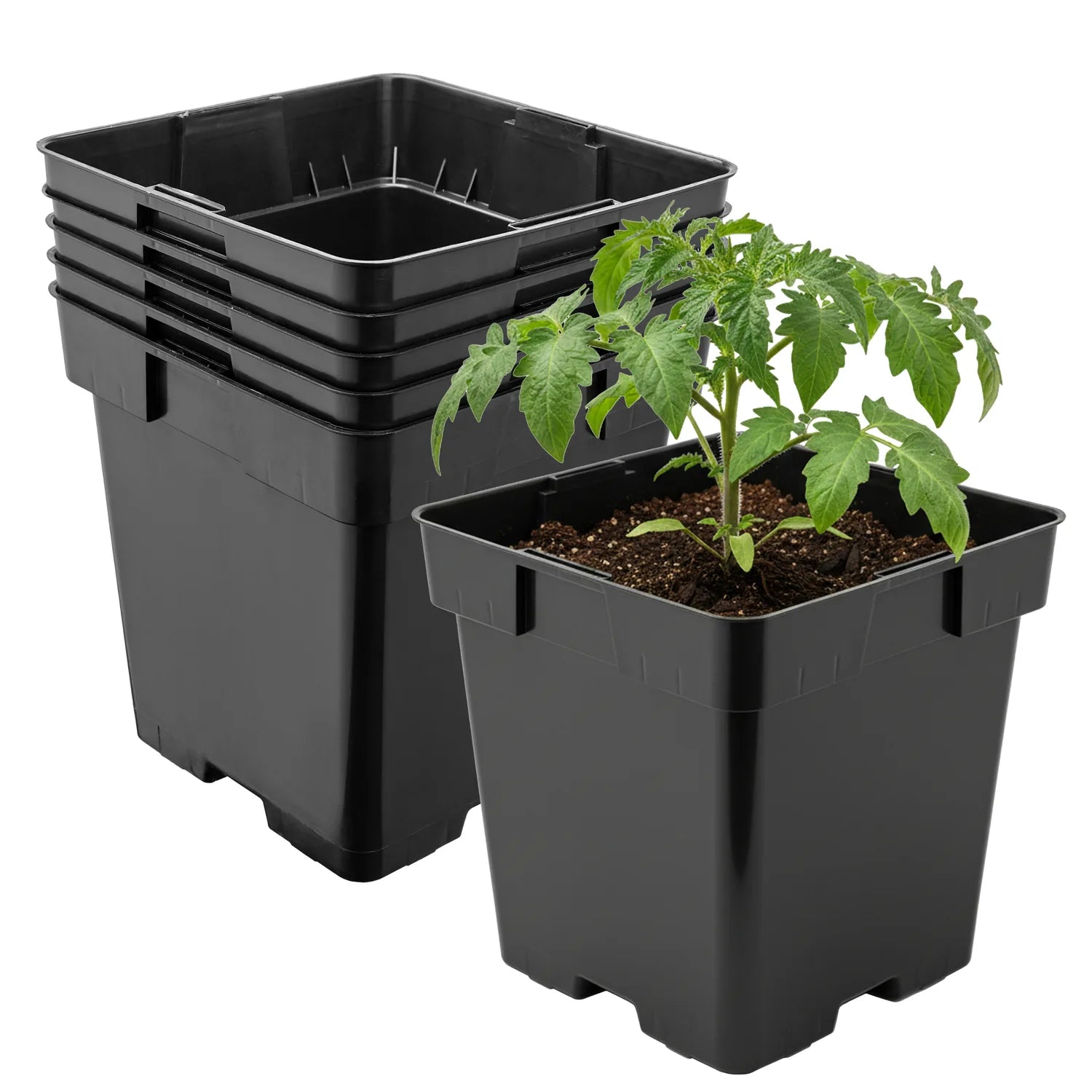 #Größe_16 x 16 x 16 cm (3L)#Menge_5 Stück