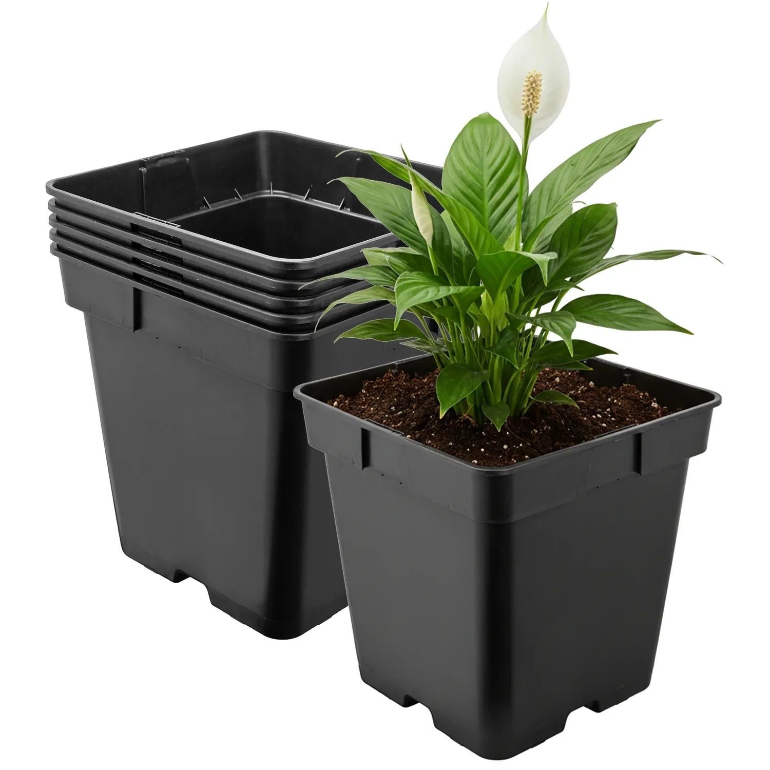 #Größe_18 x 18 x 18 cm (4L)#Menge_5 Stück