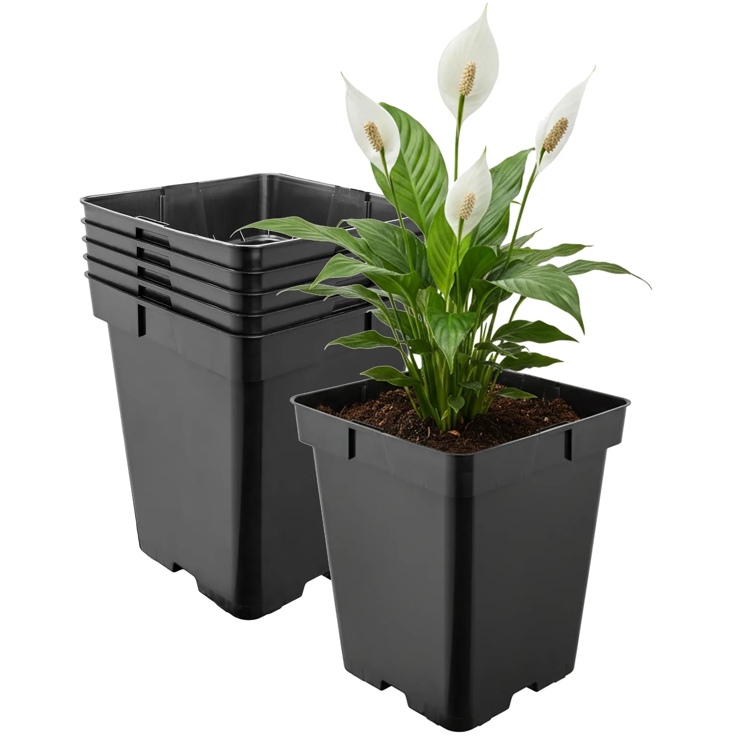 #Größe_19,5 x 19,5 x 19 cm (5L)#Menge_5 Stück