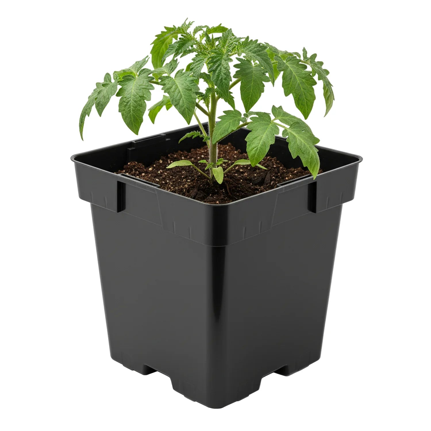 #Größe_16 x 16 x 16 cm (3L)#Menge_1 Stück