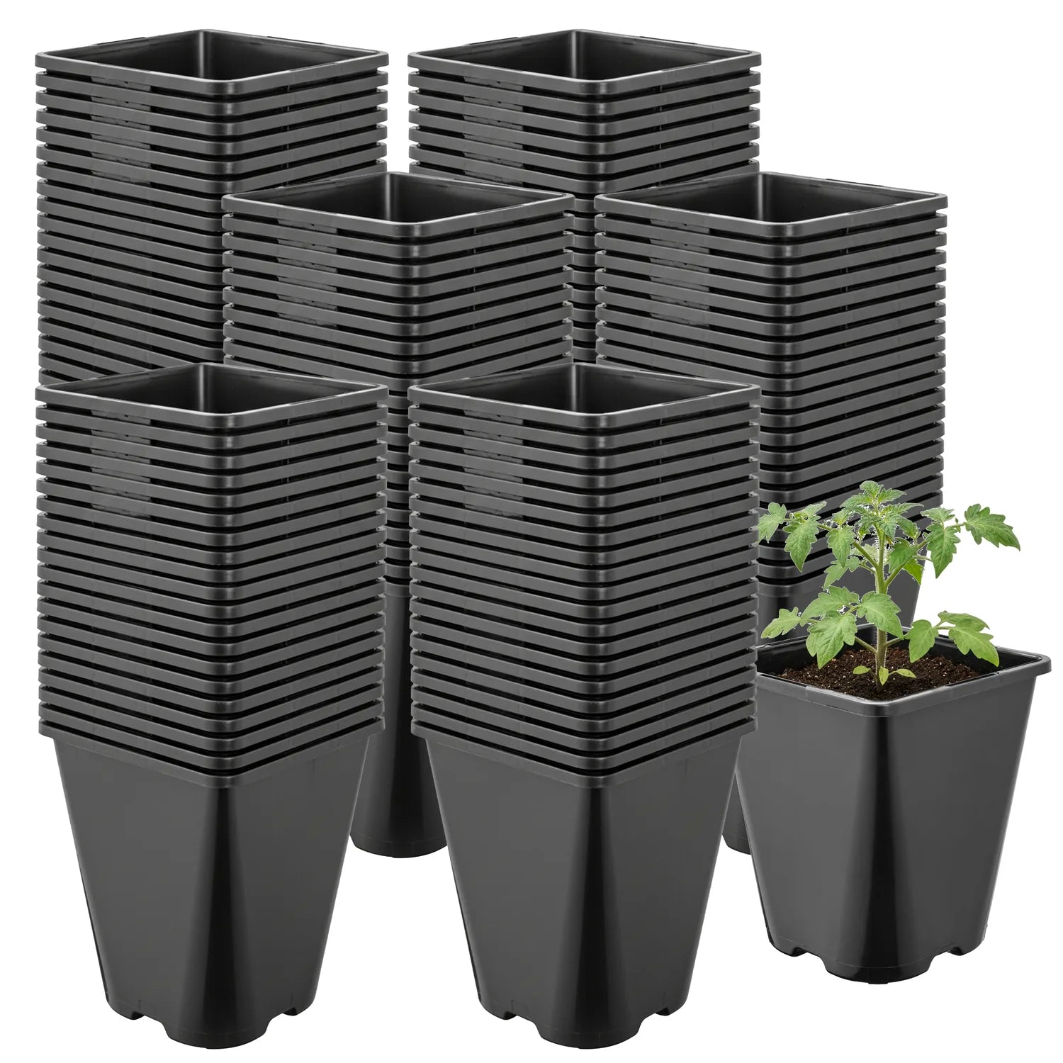 #Größe_11 x 11 x 12,5 cm (1L)#Menge_100  Stück