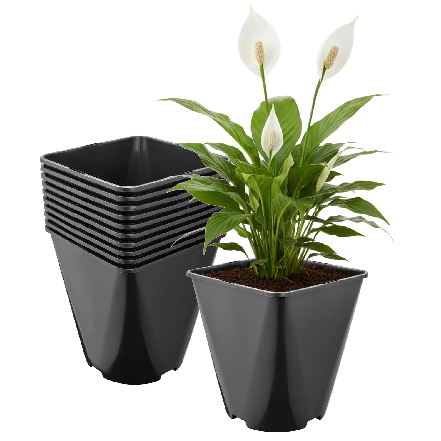 #Größe_18 x 18 x 20 cm (5L)#Menge_10  Stück