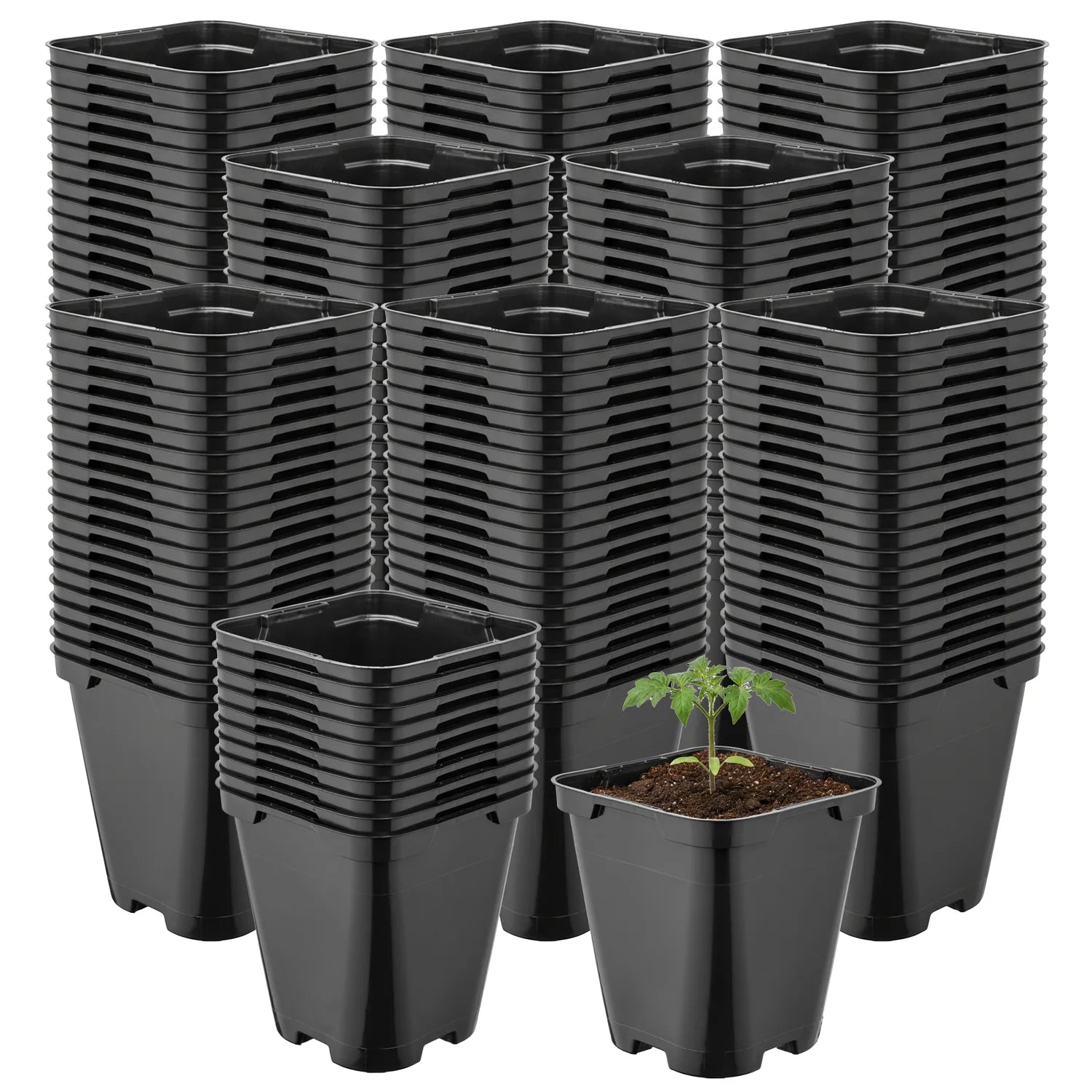 #Größe_9 x 9 x 9,6 cm (0,5L)#Menge_200  Stück