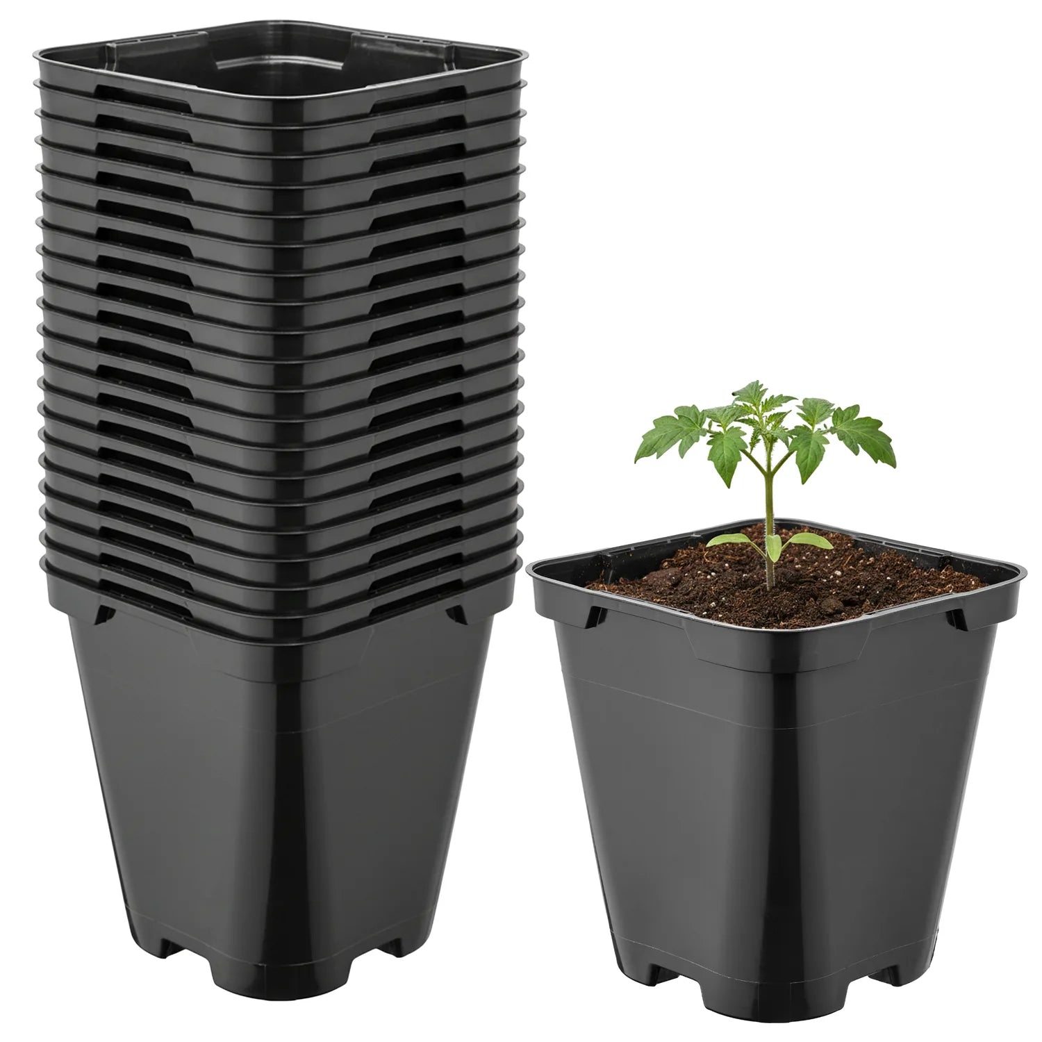 #Größe_9 x 9 x 9,6 cm (0,5L)#Menge_20  Stück