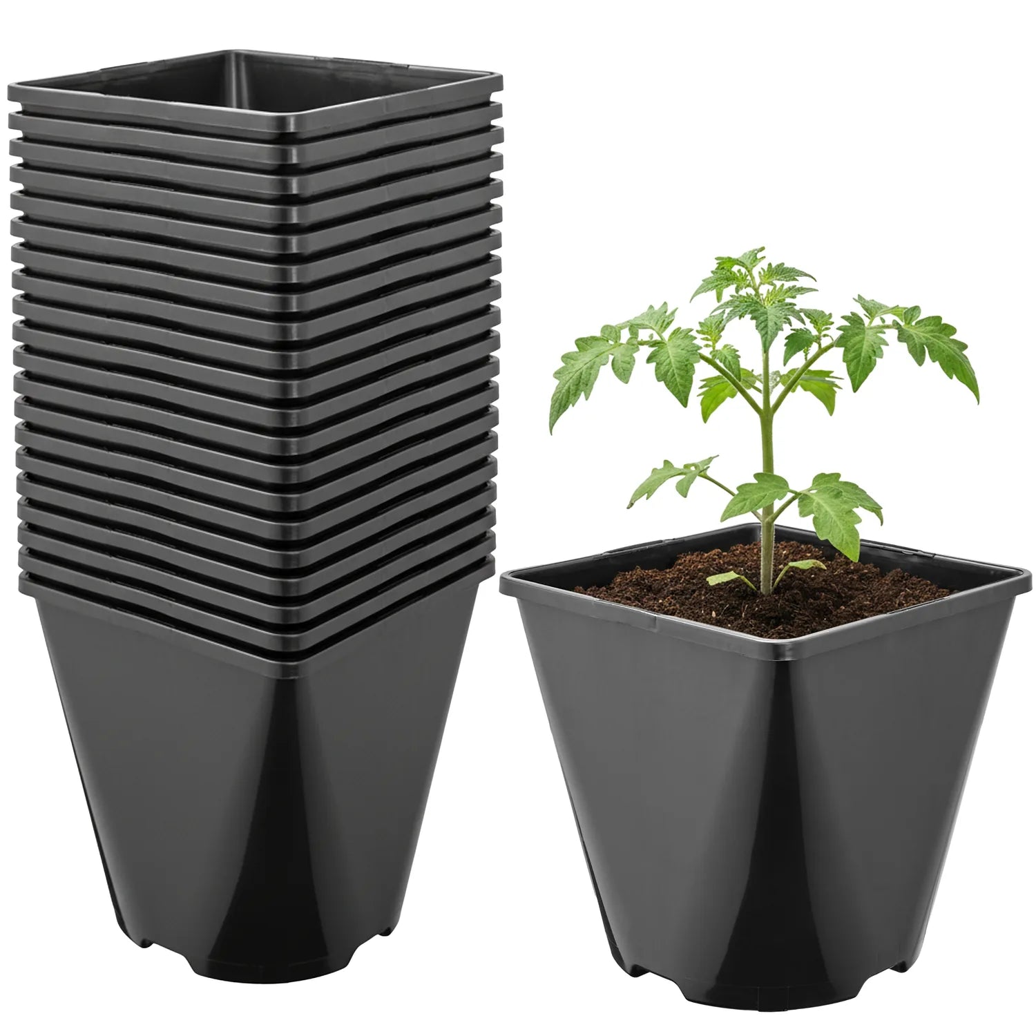 #Größe_14 x 14 x 14 cm (2L)#Menge_20  Stück