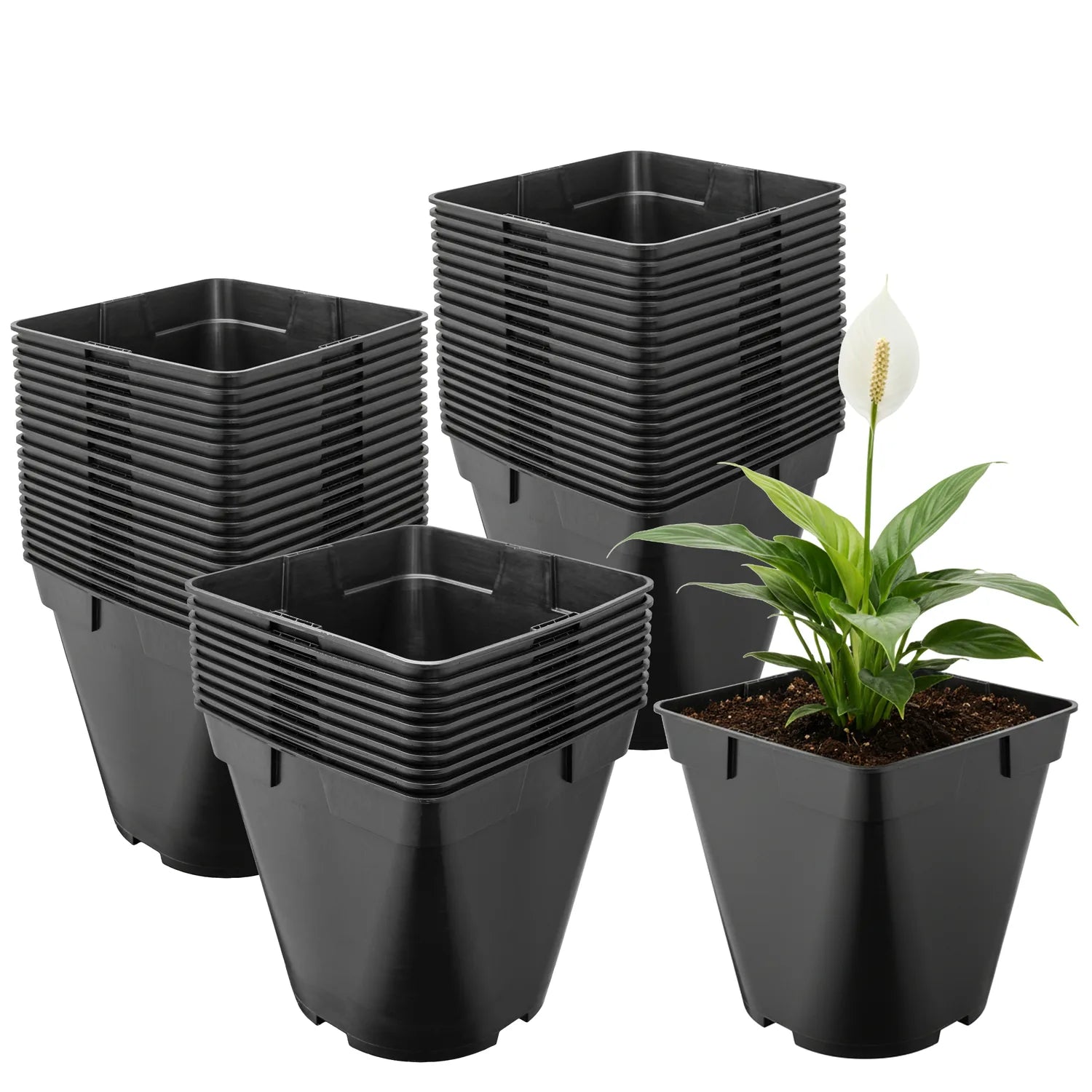 #Größe_18 x 18 x 18 cm (4L)#Menge_50  Stück