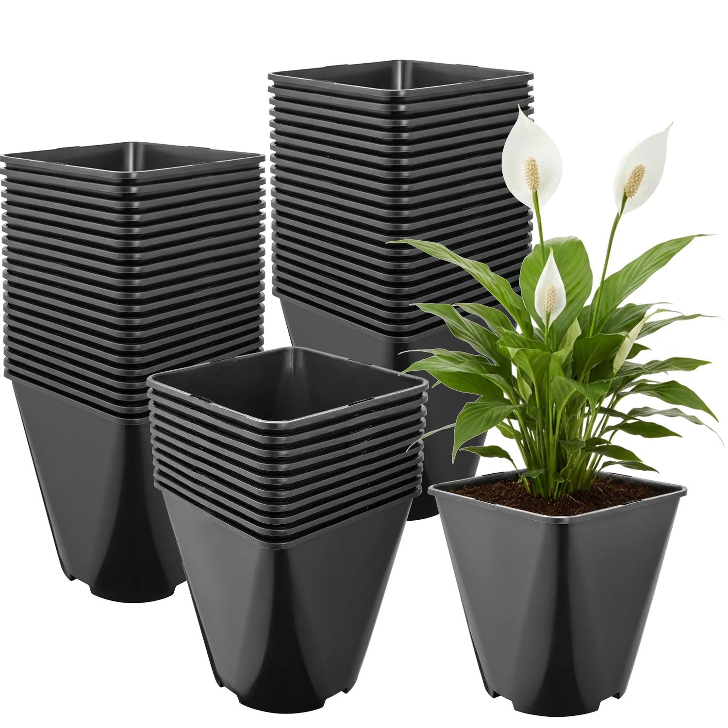 #Größe_18 x 18 x 20 cm (5L)#Menge_50  Stück