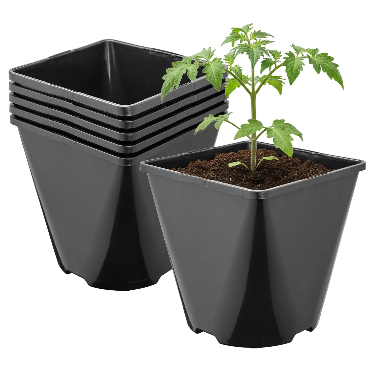 #Größe_14 x 14 x 14 cm (2L)#Menge_5  Stück