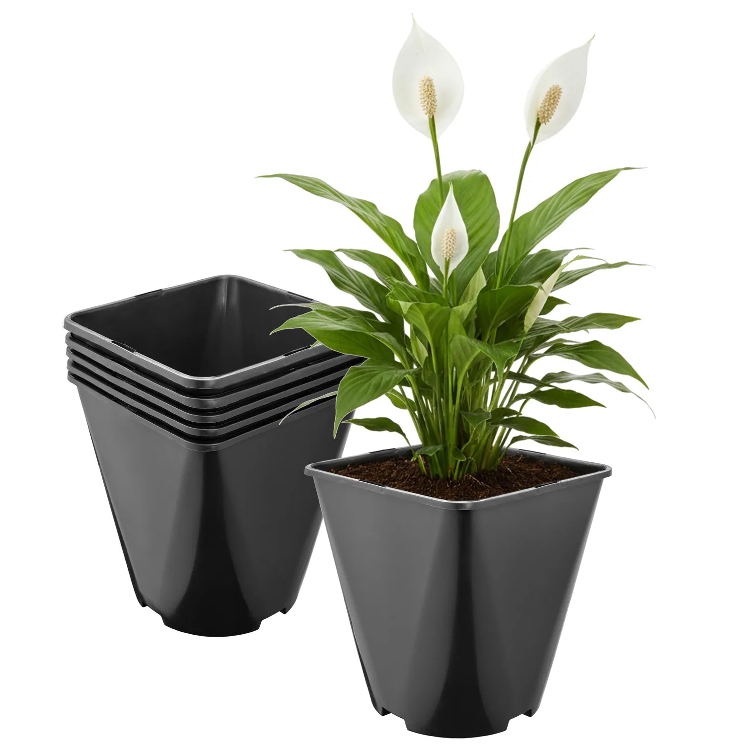 #Größe_18 x 18 x 20 cm (5L)#Menge_5  Stück