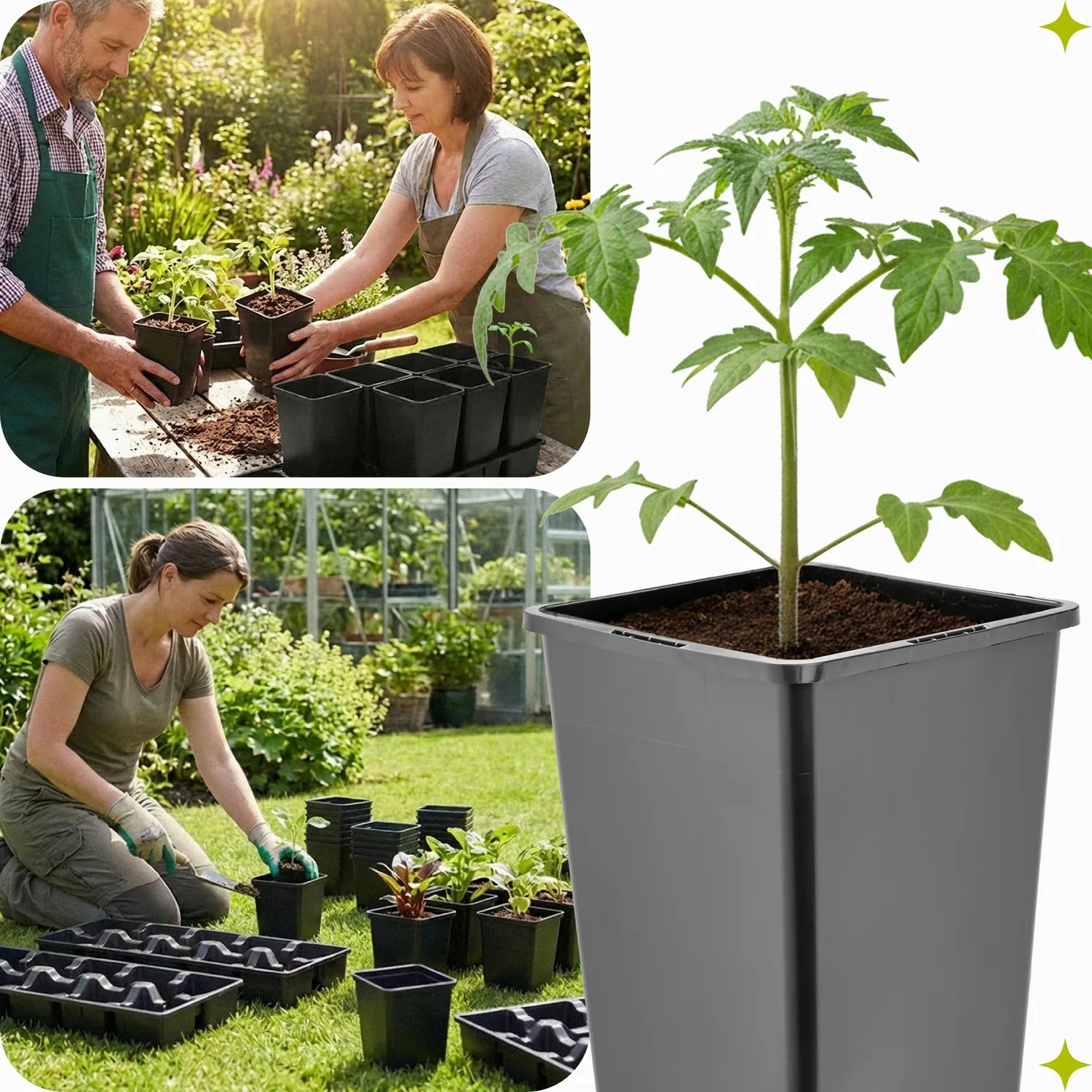 #Größe_Transporttray mit 10 x 1L Töpfen#Größe_Transporttray mit 10 x 1,25L Töpfen#Größe_Transporttray mit 10 x 1,7L Töpfen#Größe_Transporttray mit 10 x 2L Töpfen