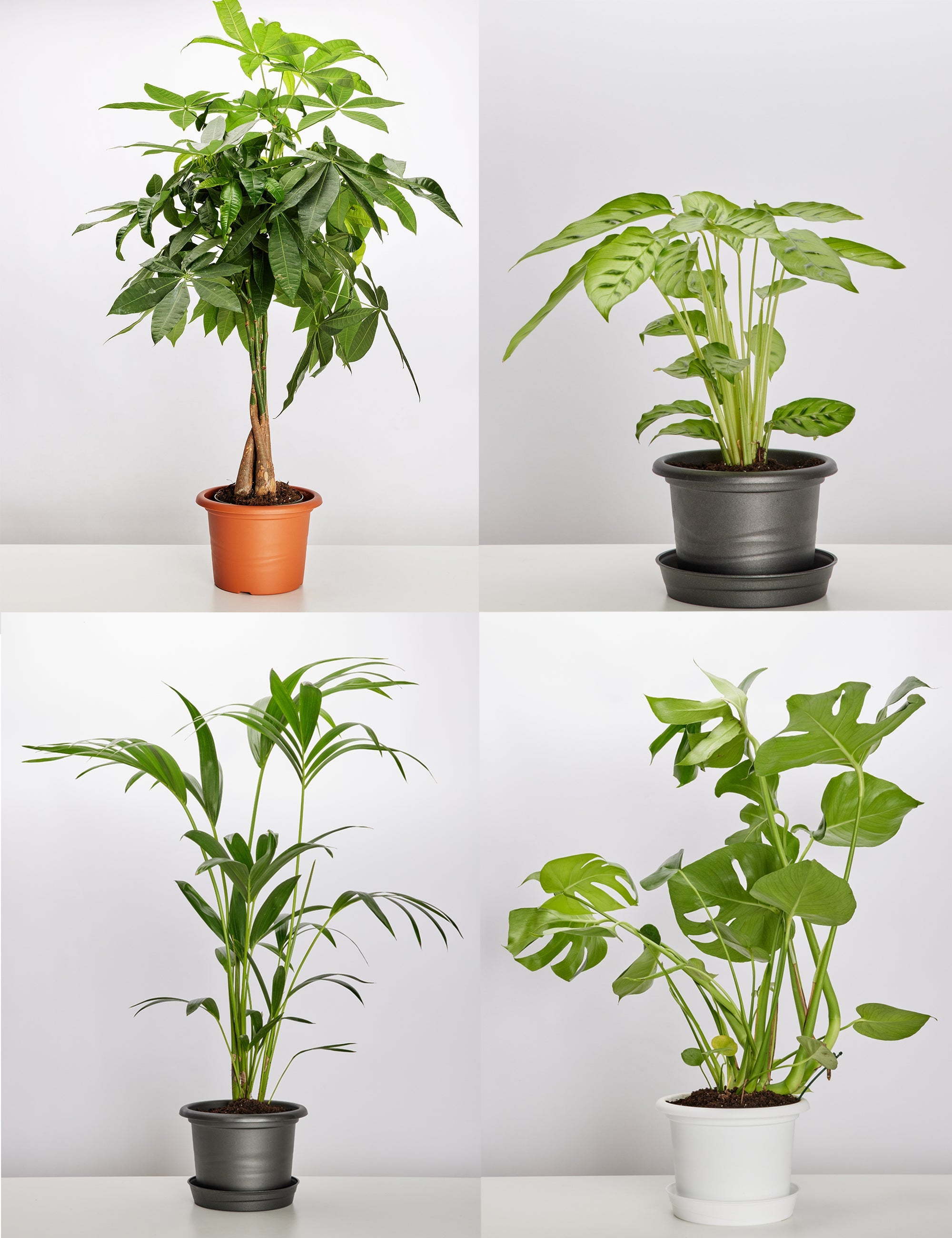 Blumentopf  rund aus Kunststoff GD-0022