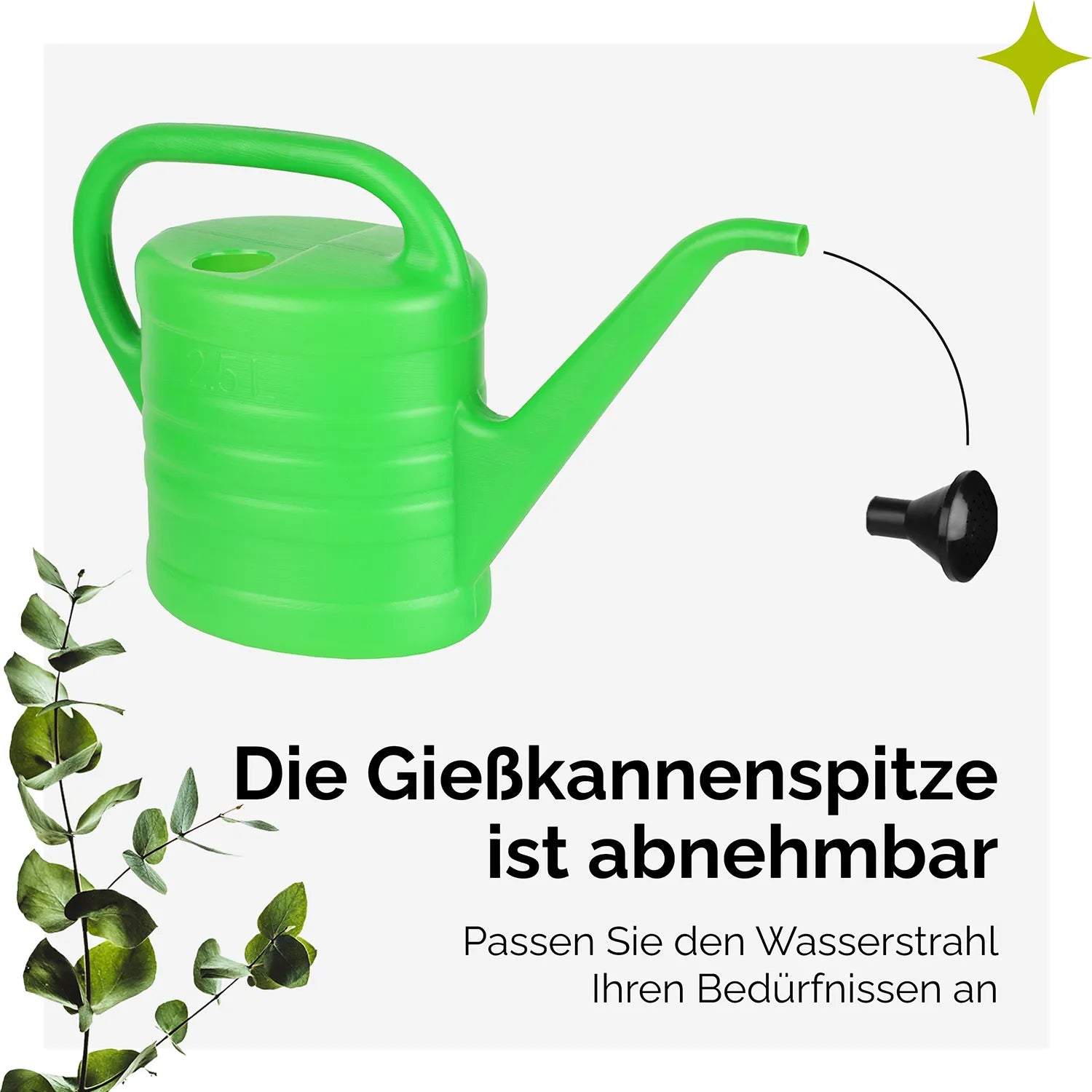#Größe_2,5L
