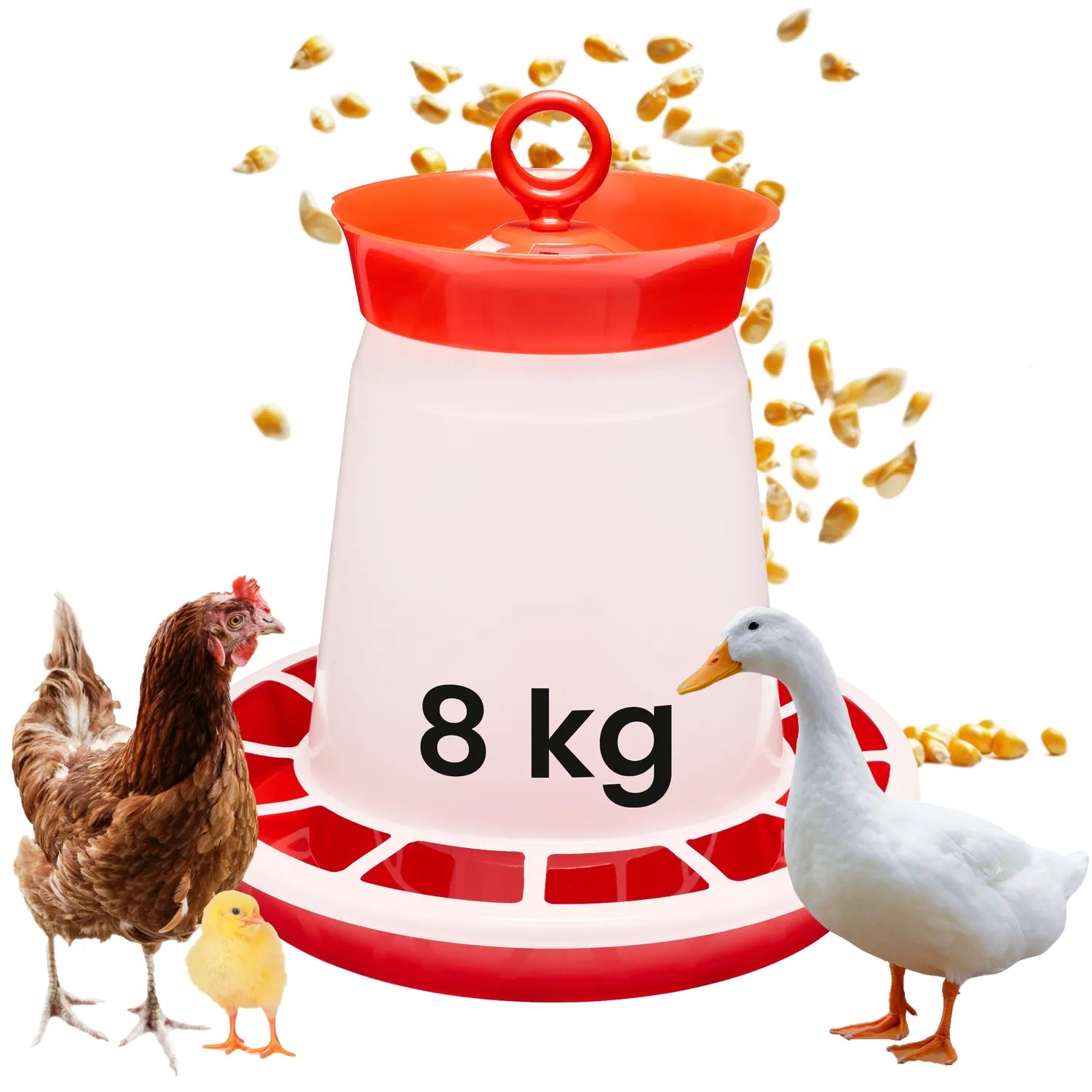 #Farbe_Rot#Größe_8 KG