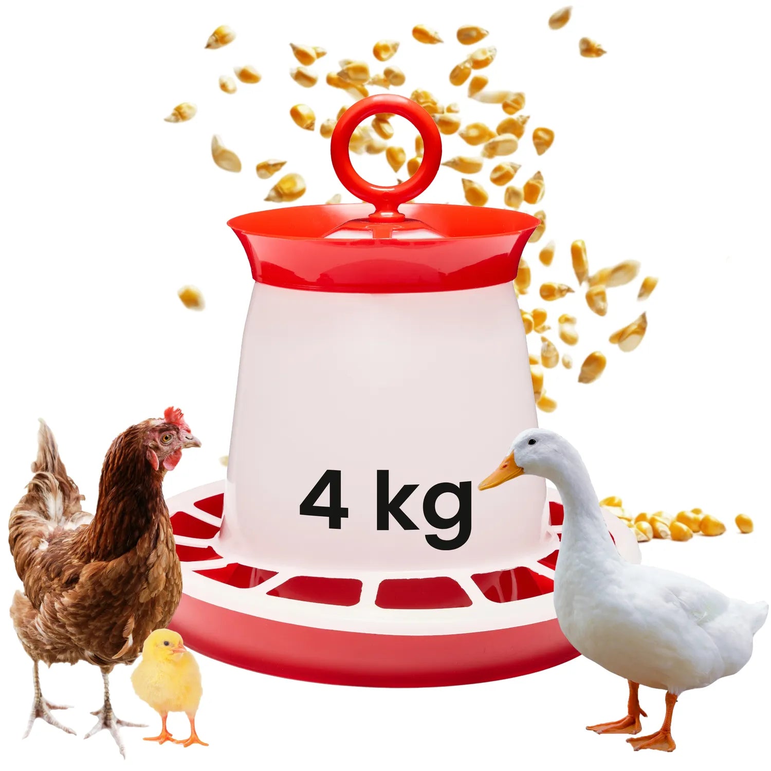 #Farbe_Rot#Größe_4 KG