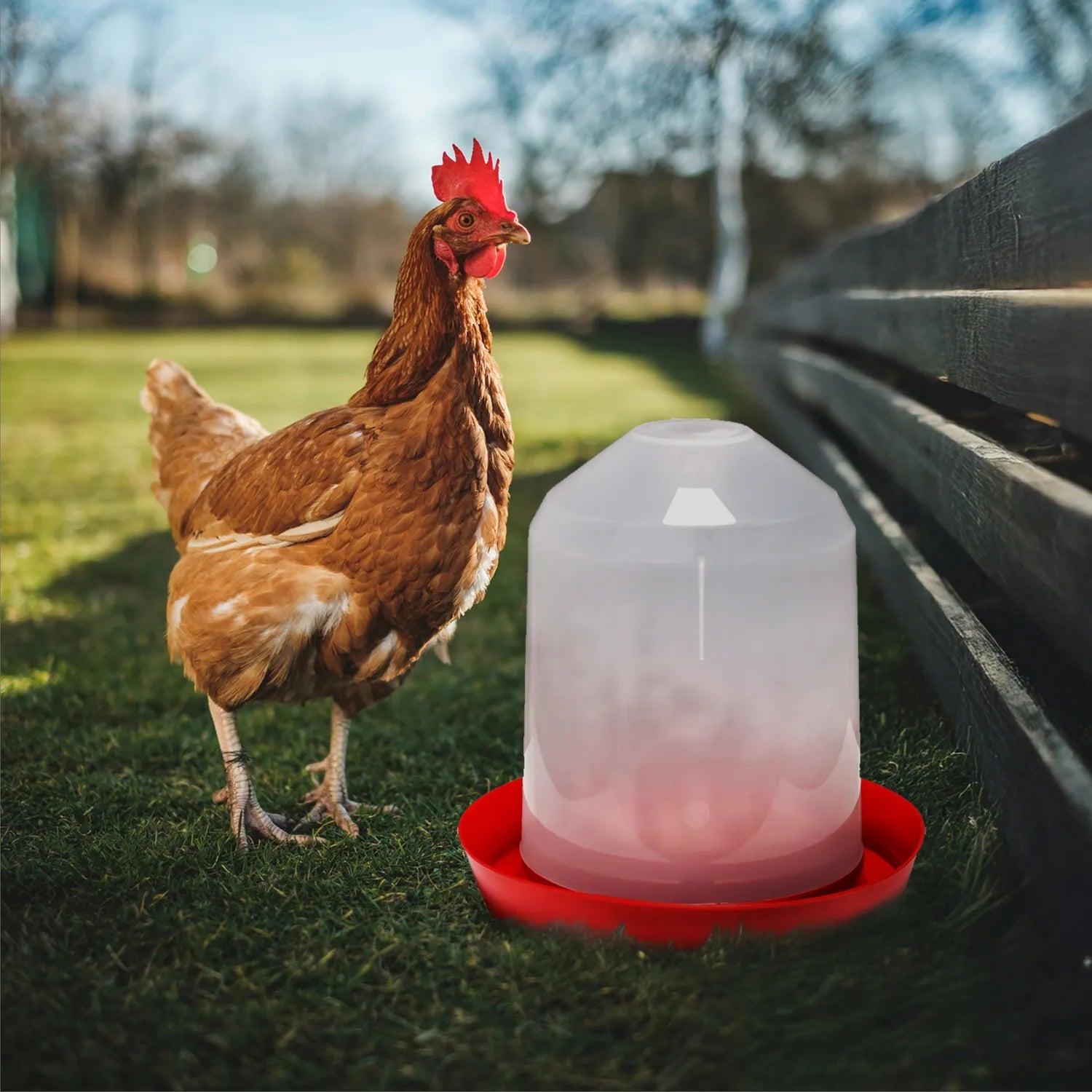 3 - 5 L  Automatischer Wasserspender für Hühner und Küken GD-0138