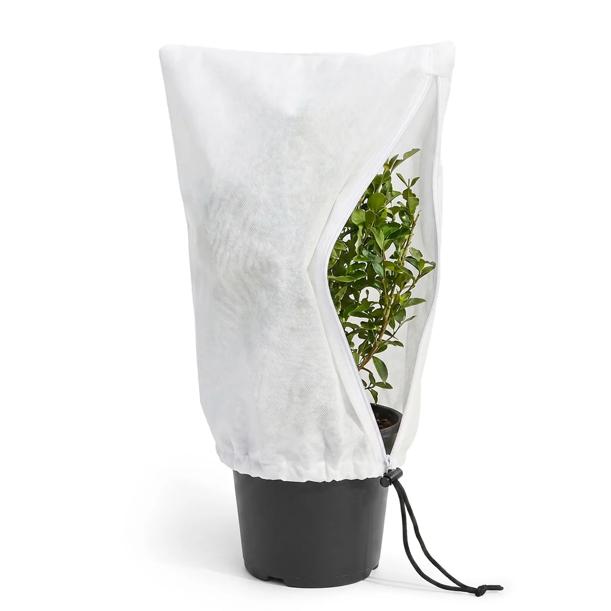 #Größe_60 cm x 80 cm#Grammatur_60 g/m²