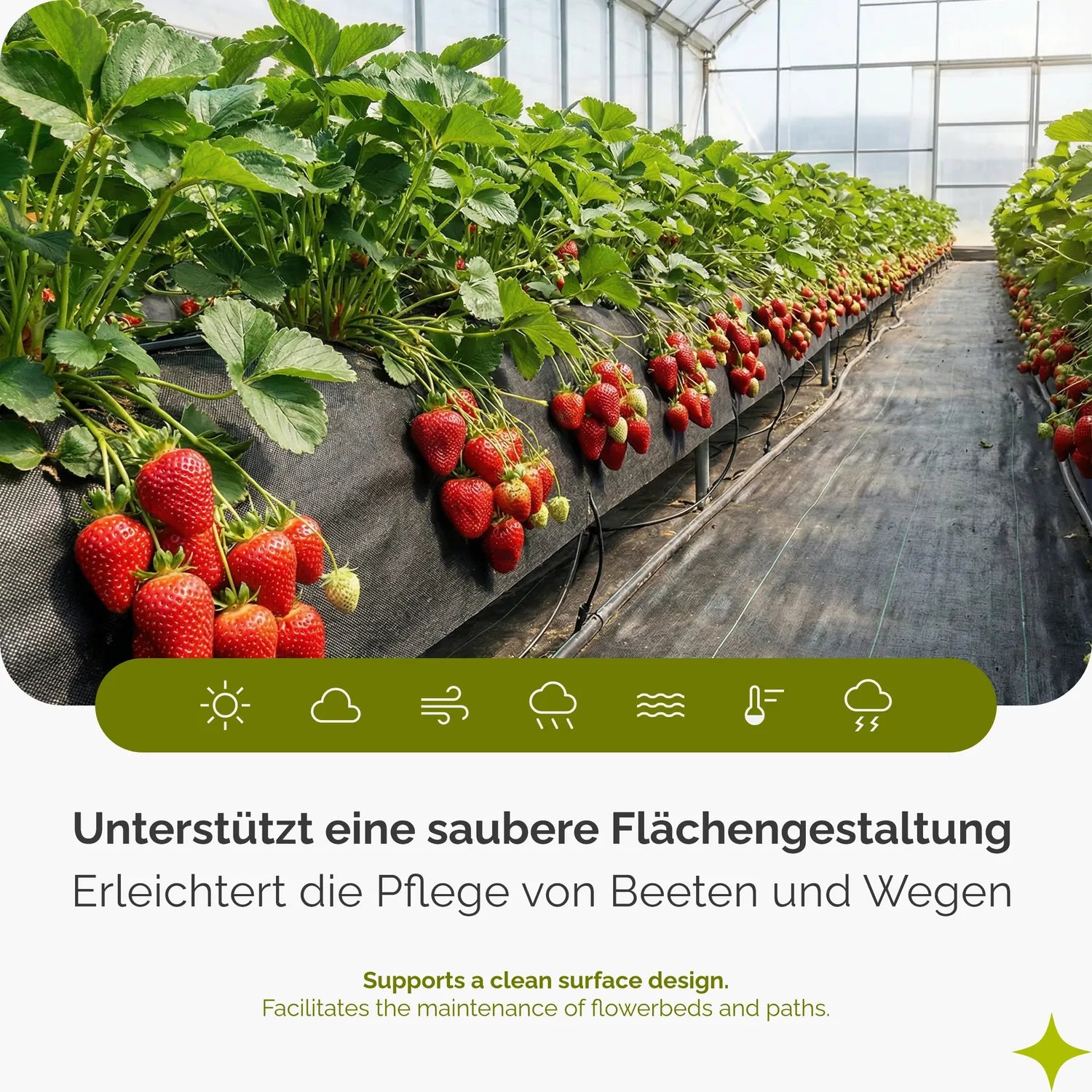 Unkrautvlies 150 g/m² - Robustes Gartenvlies zur Unkrautkontrolle GD-0177