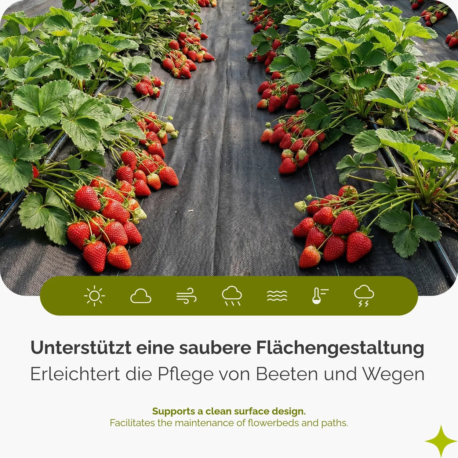 Unkrautvlies 50 g/m² Gartenvlies zur Unkrautkontrolle für Beet und Wege GD-0176